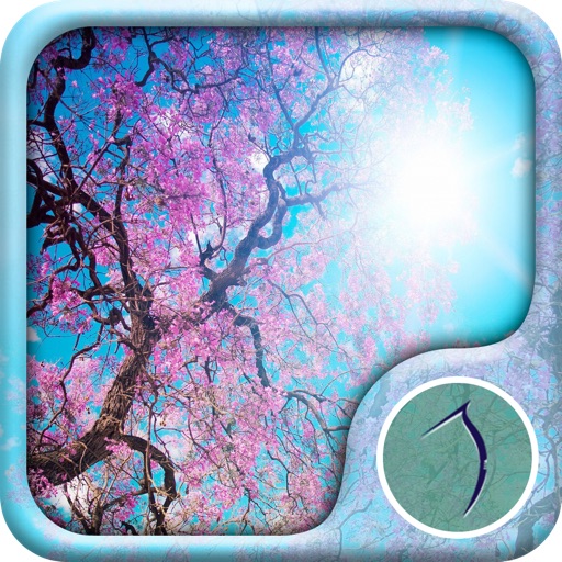 Spring Wallpaper: Best HD Wallpapers iOS App