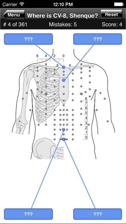 Acupuncture Points Body Quiz