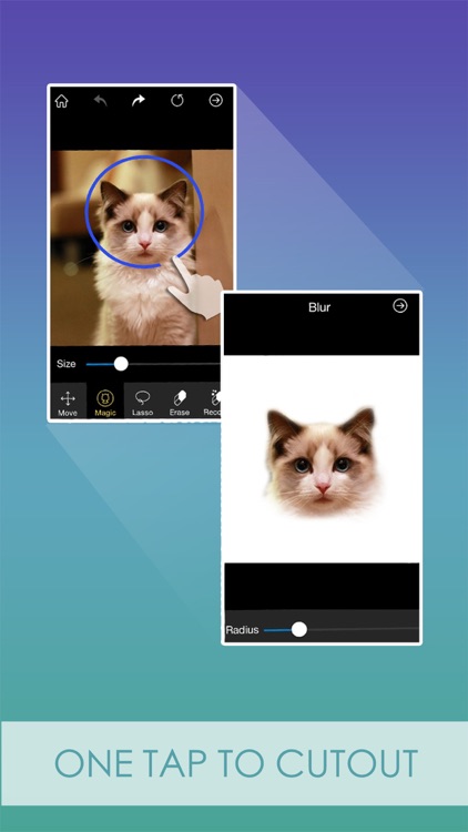 Caty-Photo Cutout and Pic Blender & Easy Stickers Maker