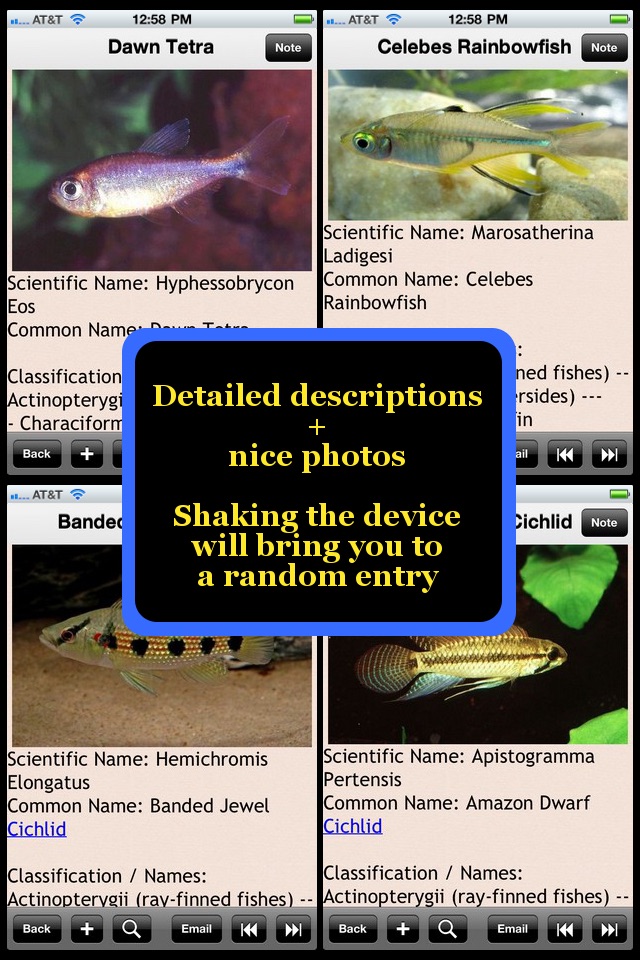 Tropical Fish Bible+ screenshot 2