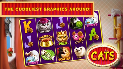 Cats Free Slots Casino Machines Jackpot screenshot 2