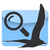 Swifly