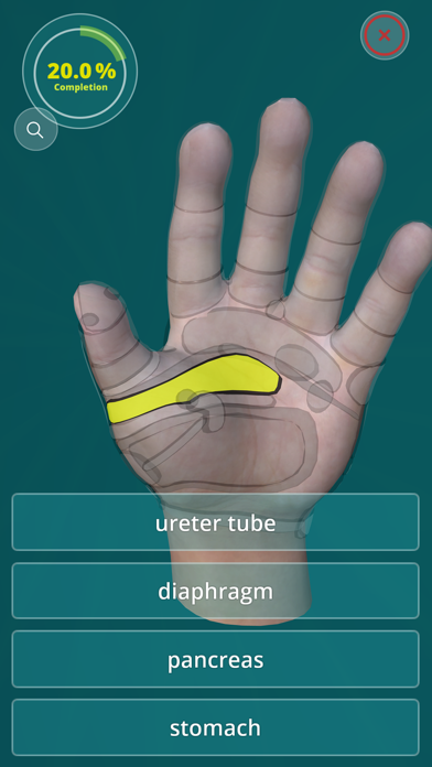 Reflexology Quiz - zones Screenshot 2