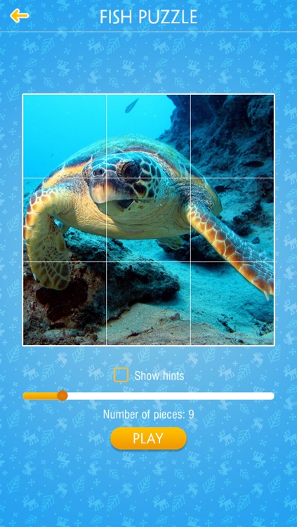 Fish Jigsaw Puzzles