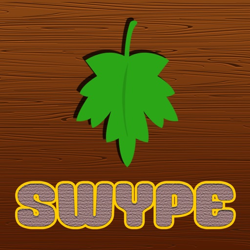 Swypes Icon