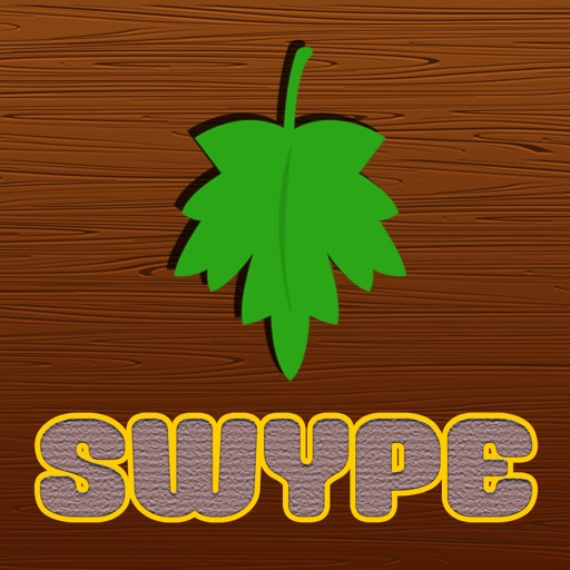 Swypes icon