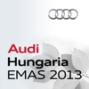 Umwelterklärung der Audi Hungaria 2013