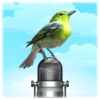 Bird Picture & Sound Pro