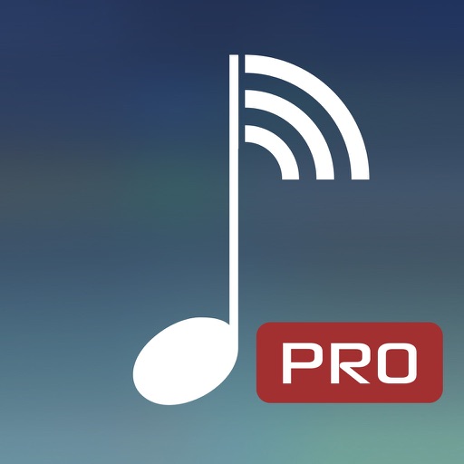 MyAudioStream Pro UPnP audio player and streamer: gather your music collection from your PC, NAS, UPnP servers, Windows Media Player or iTunes local and share it with your wireless speakers, AV Receivers, AllShare TV, PS3 or Xbox360