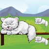 A Cats Sizing Game: Play and Learn for Children