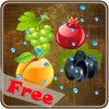 Fruit Saga Touch FREE