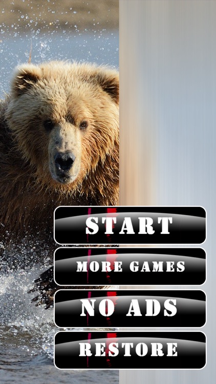 Grizzly Bear Hunt-ing Bullet Juggle Game