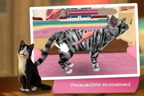 CatHotel - Care for cute cats screenshot 3