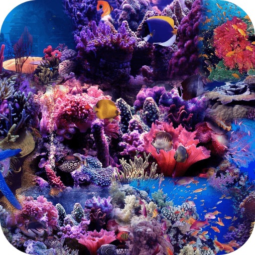 Free Ocean Jigsaw Puzzle iOS App