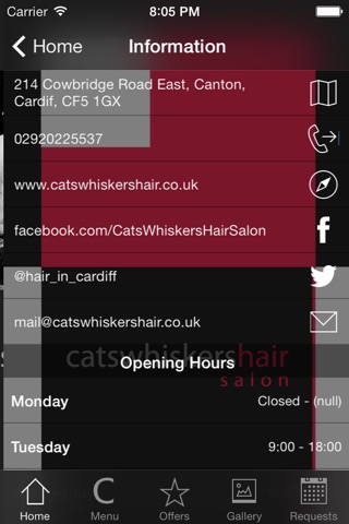 Cats Whiskers Hair screenshot 3