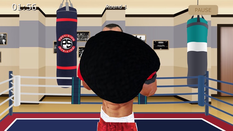 Virtual Sparring Partner screenshot-4