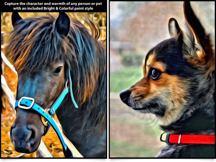 Portrait Painter HD screenshot-3