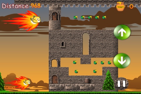 Flying Bear - Honey Battle Game screenshot 2