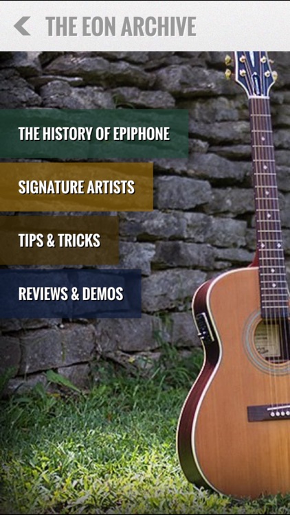 Epiphone EON