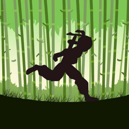 Shadow Runners - Kung Fu Endless Game icon
