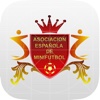 Asociación Española Minifútbol