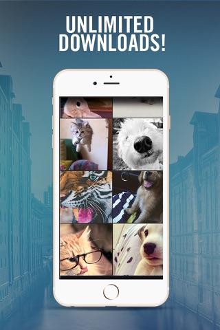 Customize my iPhone - Wallpapers & Backgrounds screenshot 4