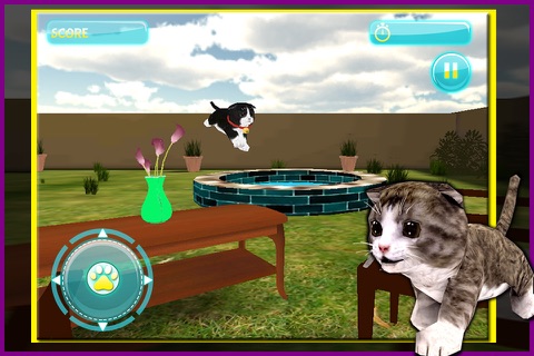 Real Cat Simulator 3D - Little Cute Kitty Simulation Game to Explore & Play in Home screenshot 3