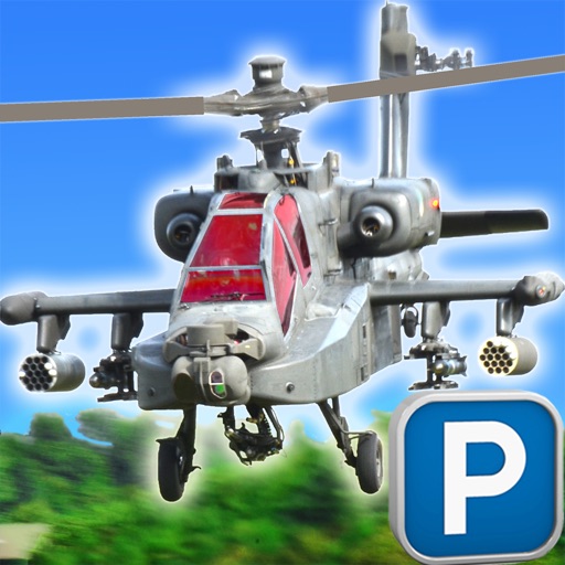 Air Support Solid Target: Guardian of the Sky icon