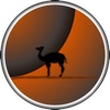 Lama