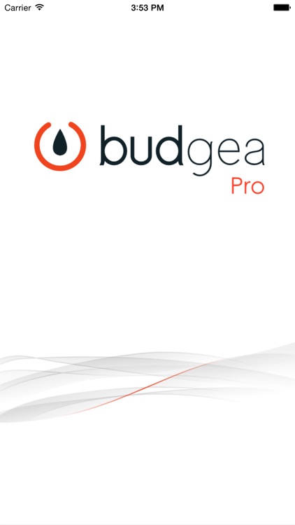 Budgea Pro: l'application pour suivre votre tresorerie