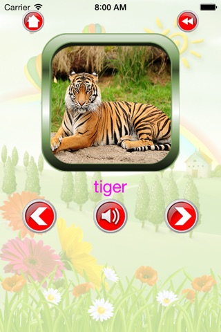 Wild Animal For Kid - Educate Your Child To Learn English In A Different Way screenshot 4