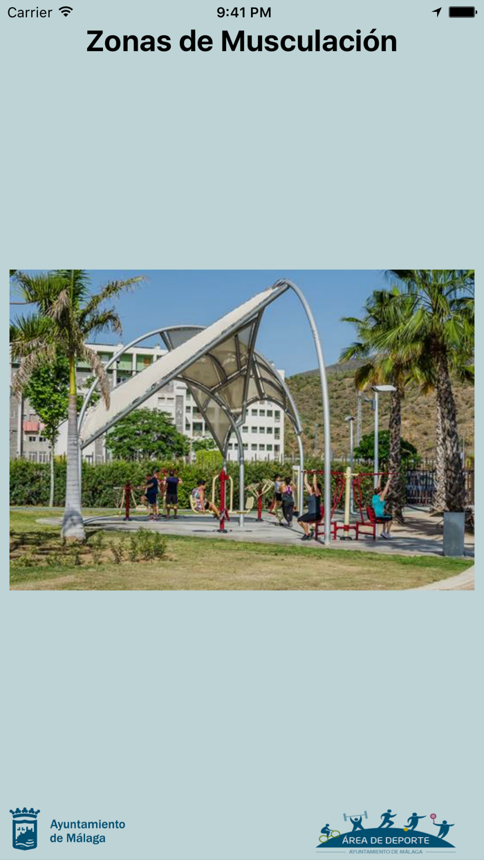 Zonas de Musculación