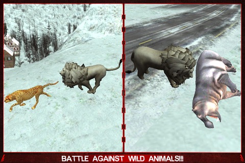 Wild Lion Attack Simulator 3D – Play role of a deadly predator & show killer instinct screenshot 3