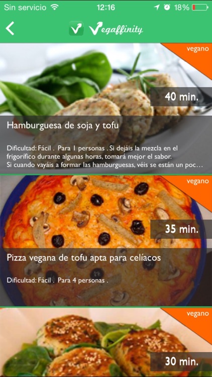 Dieta y Recetas Vegetarianas screenshot-3