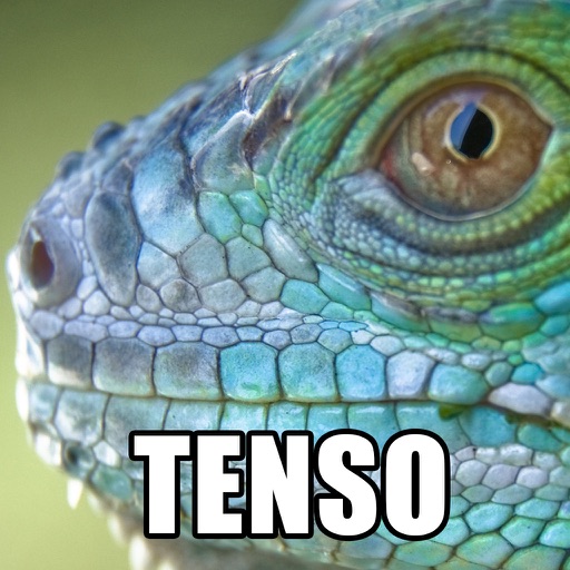 Tenso Generator