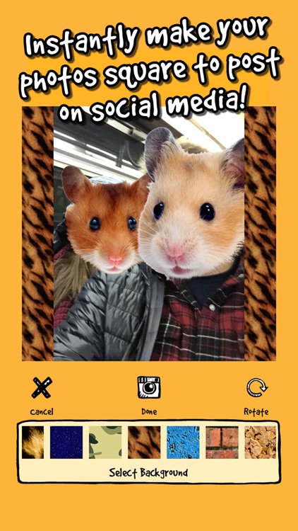 hamstergram - make people hamsters instantly and more! screenshot-4