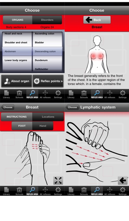 Reflexology PRO
