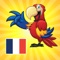 This app is a great educational software for IPhone, IPod Touch or IPad that helps you understand and pronounce French words in the shortest possible time