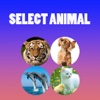 Select Animal