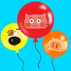 Meow Balloons