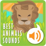 Los mejores sonidos de animales