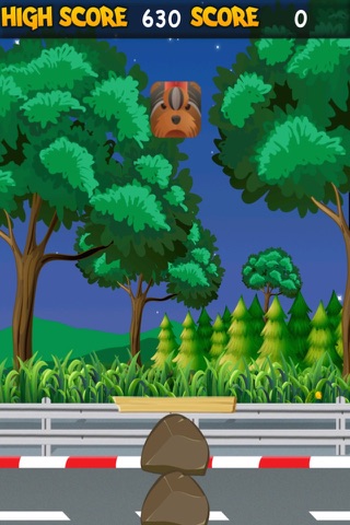 Hairy and Loid Adventure Quest - Stacking Animals Paid screenshot 2