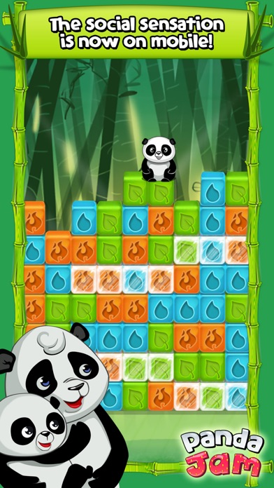 Panda Jam Screenshot 1