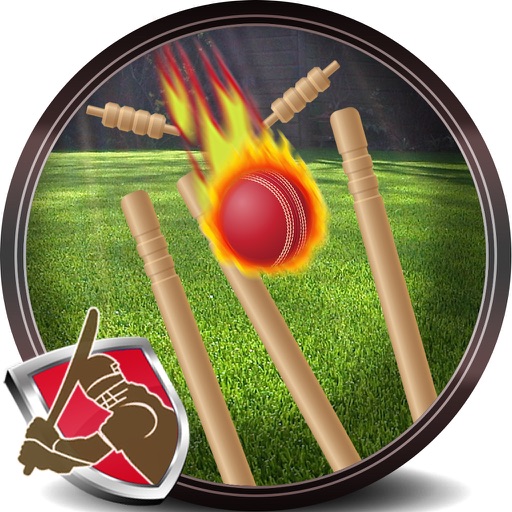 Hit The Wicket Icon