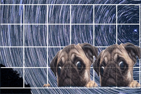 Dogs in Space screenshot 2