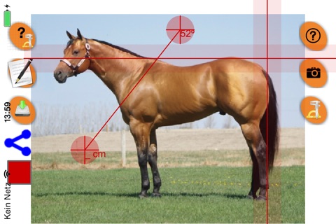 Horse Conformation screenshot 3