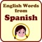 Spelling Doll English Words From Spanish Origin Vocabulary Quiz  Grammar