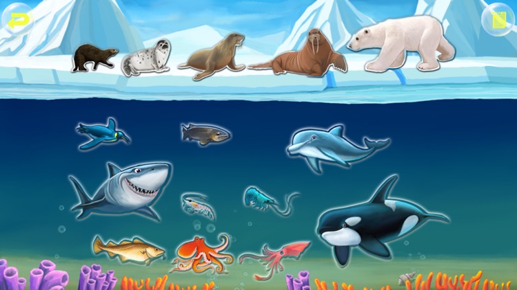 Amazing Ocean Animals- Educational Learning Apps for Kids screenshot-0