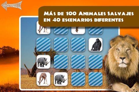 Free Memo Game Wild Animals Photo screenshot 4