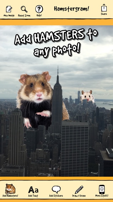 How to cancel & delete hamstergram - make people hamsters instantly and more! from iphone & ipad 3